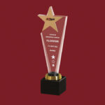 Premium Goldstar Trophy