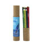 Kingfisher Colouring Seed Pencils (10pcs)