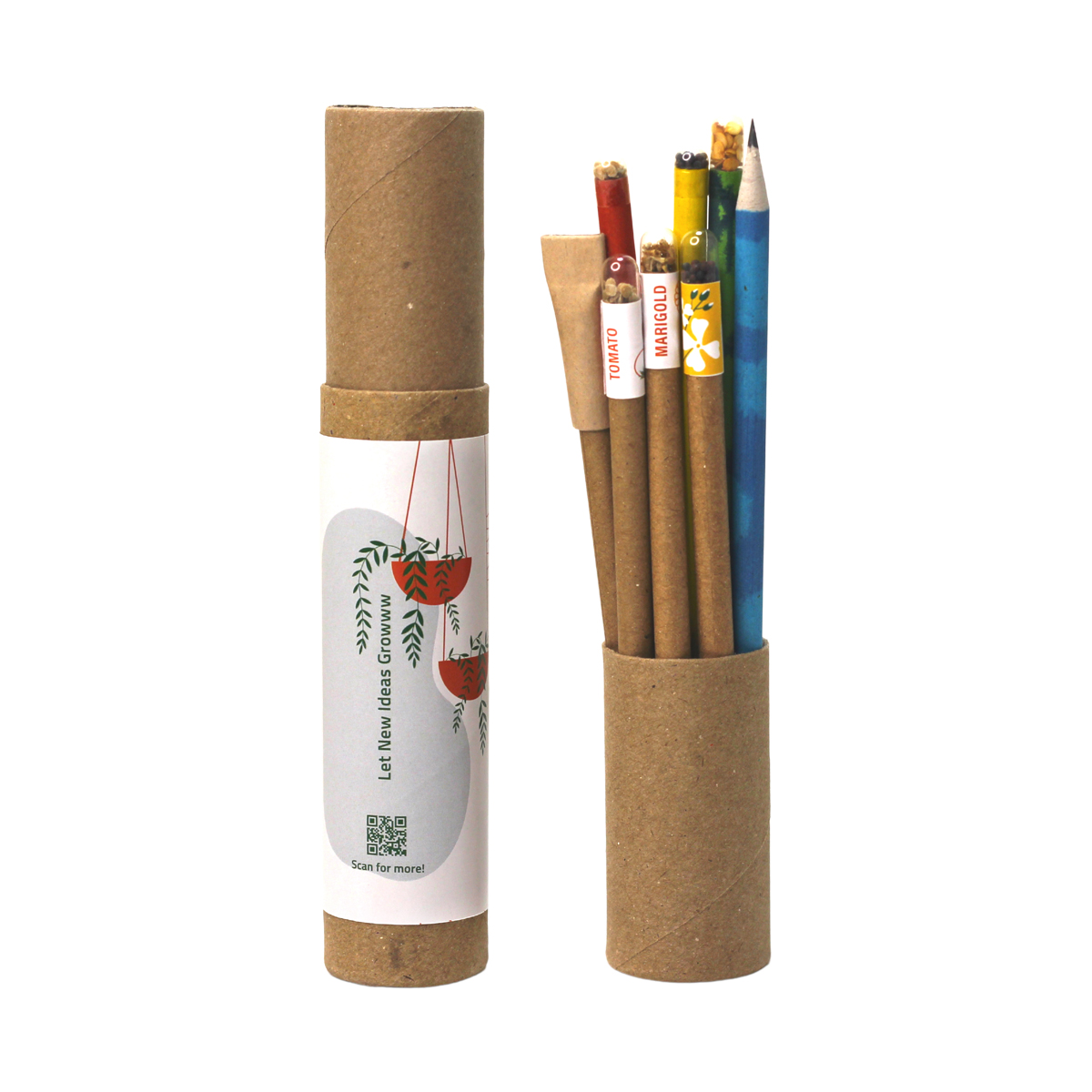 Plantable Anti Plastic Combo Pen & Pencil Set (4pcs each)
