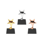 Rising Star Metal Trophy