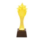 3 Star Resin Trophy with Wooden base