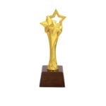 Star Resin Trophy with Wooden base