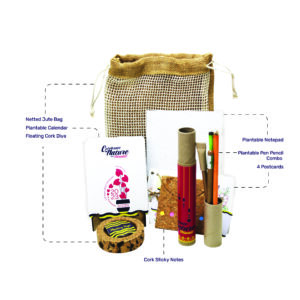 Eco Friendly Diwali Kit